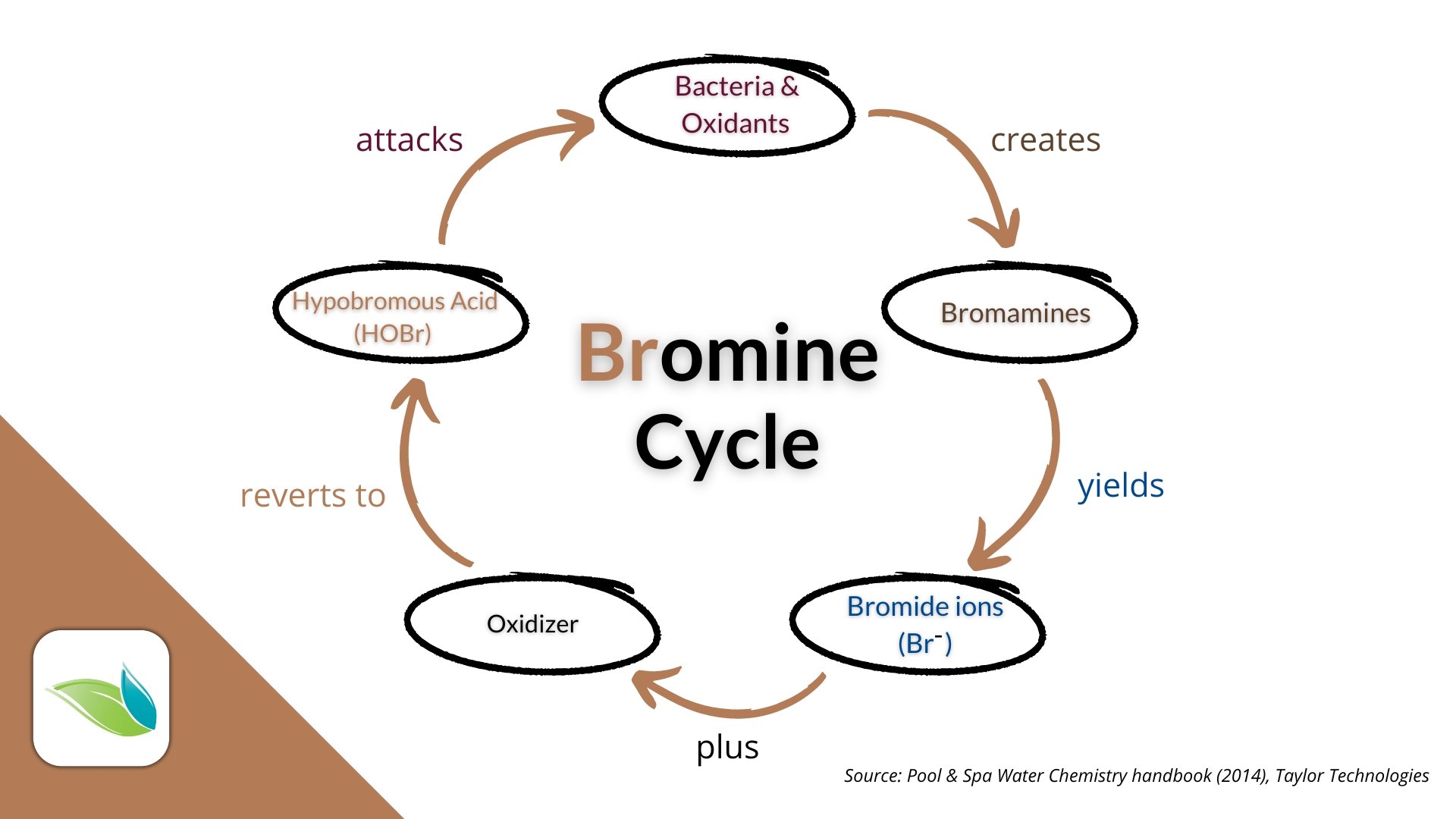 Understanding Bromine Pools And Spas